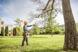 Best Hazardous Tree Removal  in Lincoln Rk, PA